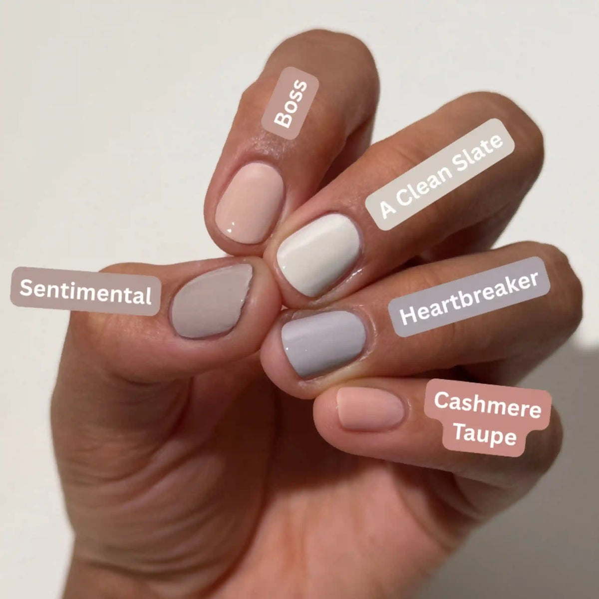 Cashmere Taupe