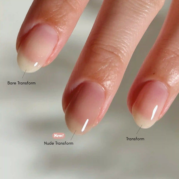 Bare Transform Ridge Filler