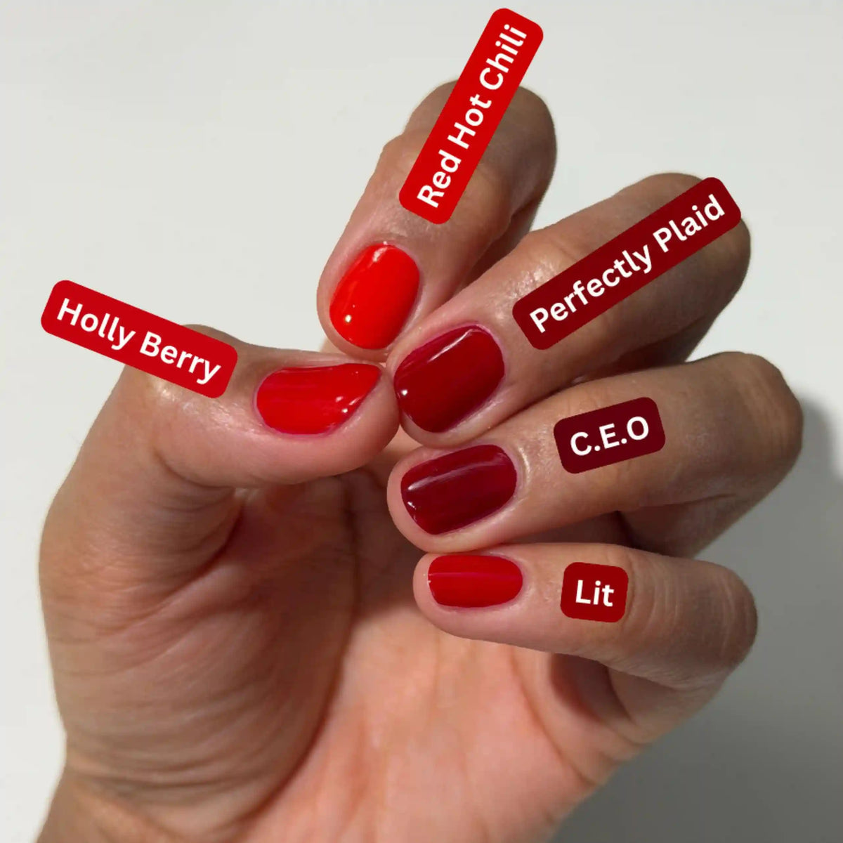 Holly Berry